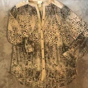 Sheer top! Super cute!